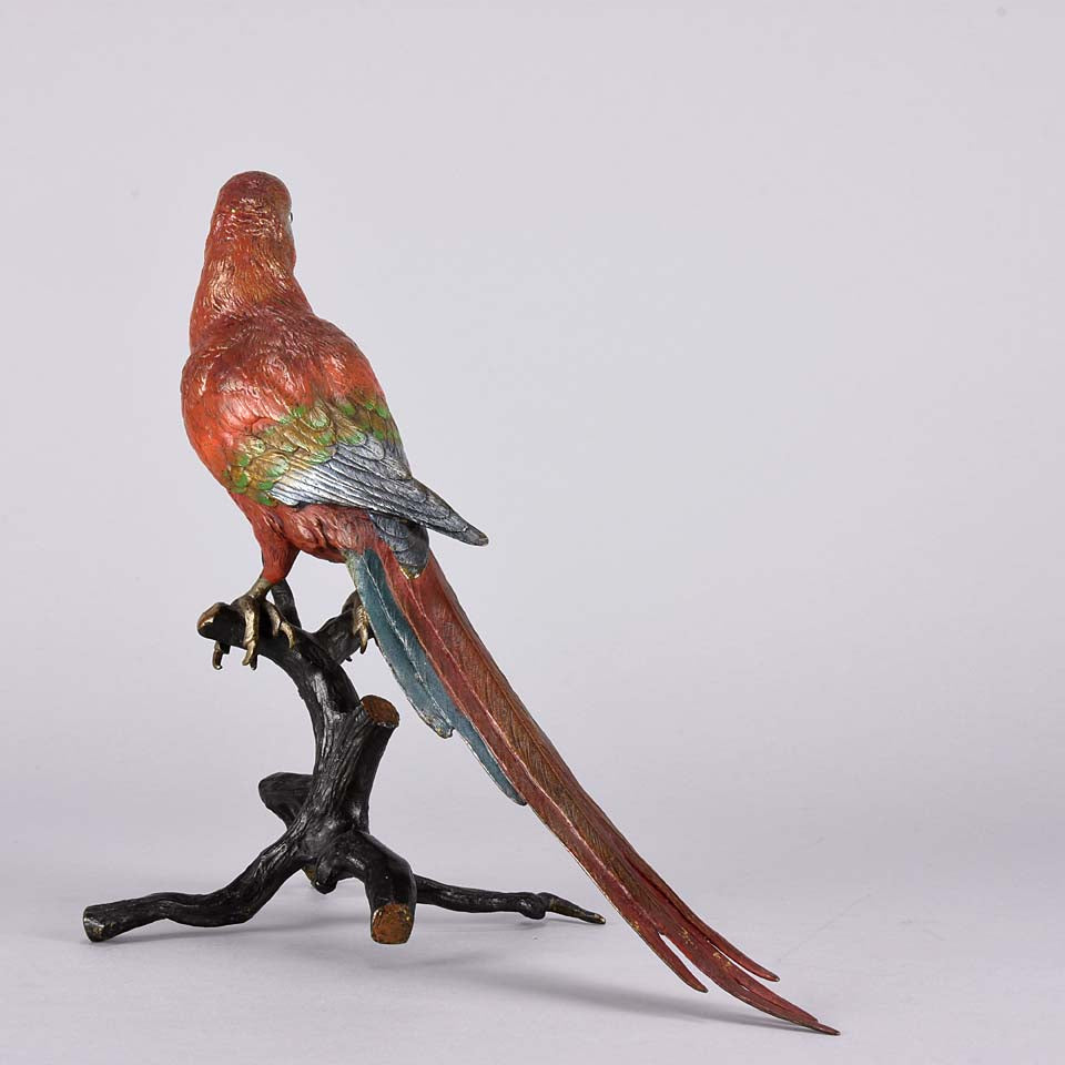 Bergman Macaw - Franz Bergman Austrian Bronze - Hickmet Fine Arts 