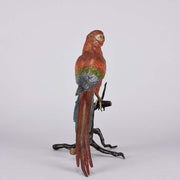 Bergman Macaw - Franz Bergman Austrian Bronze - Hickmet Fine Arts 