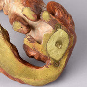 Austrian Bronze by Franz Bergman of a fox