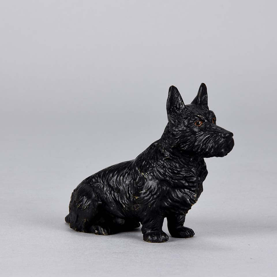 Austrian Bronze Bergman Terrier