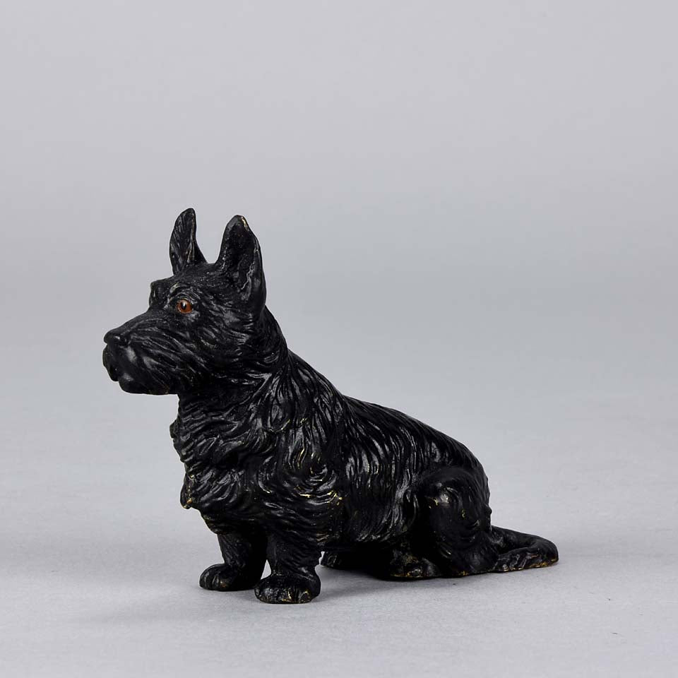 Austrian Bronze Bergman Terrier