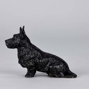 Austrian Bronze Bergman Terrier