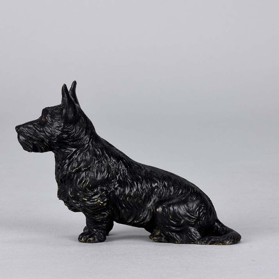 Austrian Bronze Bergman Terrier