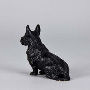 Austrian Bronze Bergman Terrier
