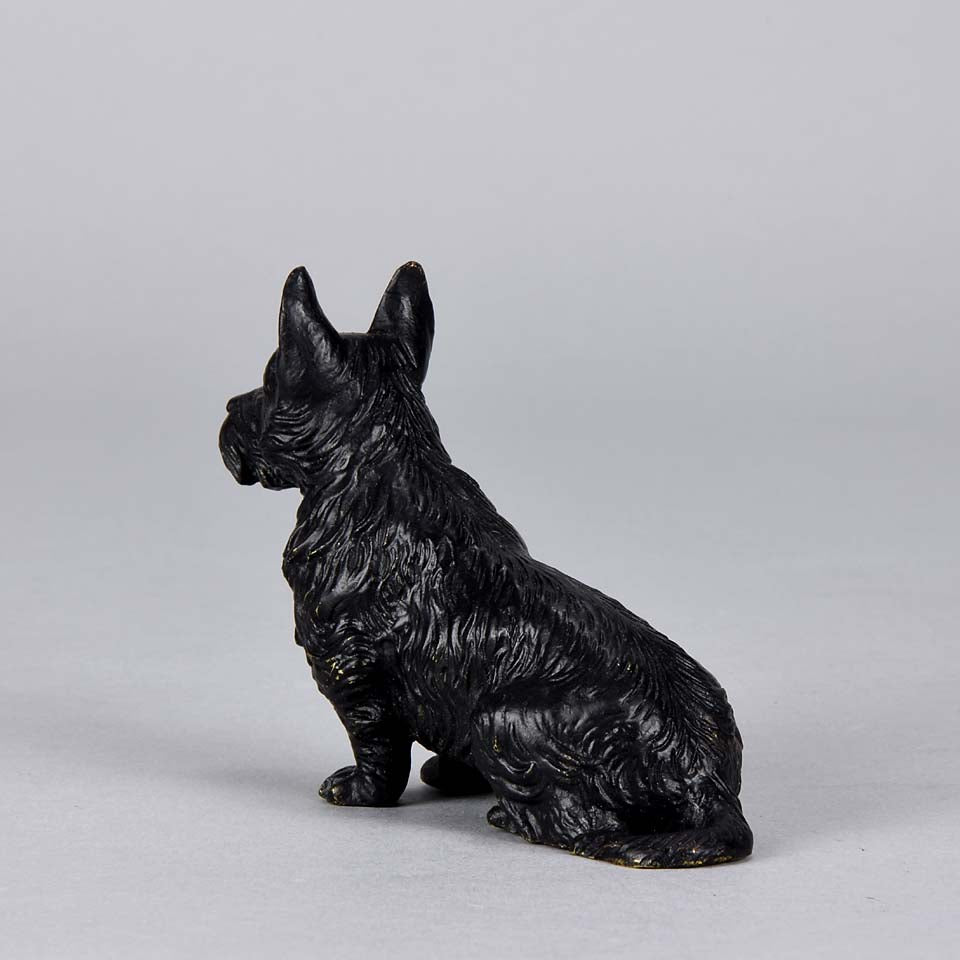 Austrian Bronze Bergman Terrier