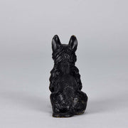 Austrian Bronze Bergman Terrier