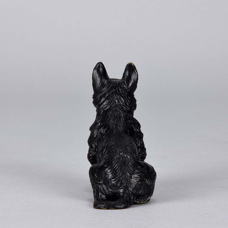 Austrian Bronze Bergman Terrier