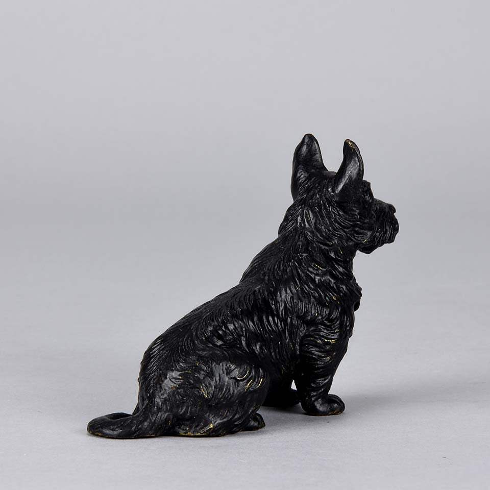 Austrian Bronze Bergman Terrier