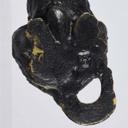 Austrian Bronze Bergman Terrier