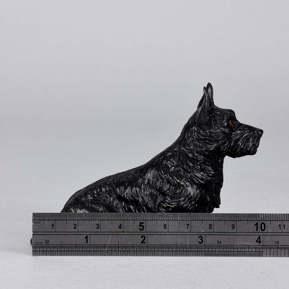 Austrian Bronze Bergman Terrier