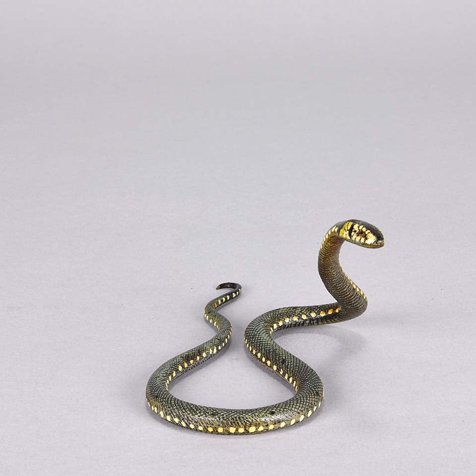 Franz Bergman Snake - Austrian Bronze - Hickmet Fine Arts