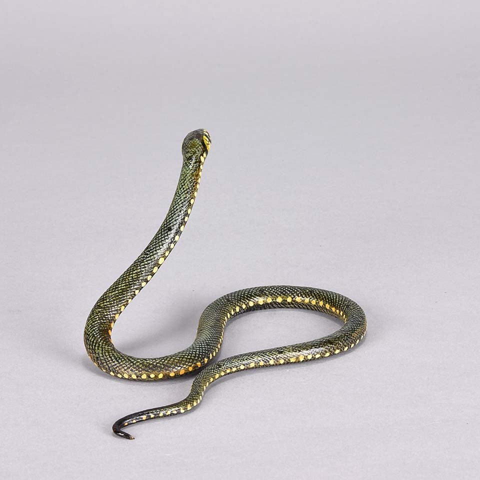 Franz Bergman Snake - Austrian Bronze - Hickmet Fine Arts