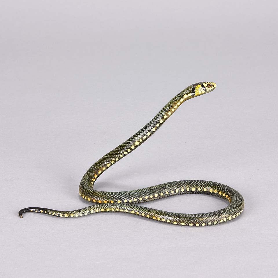 Franz Bergman Snake - Austrian Bronze - Hickmet Fine Arts