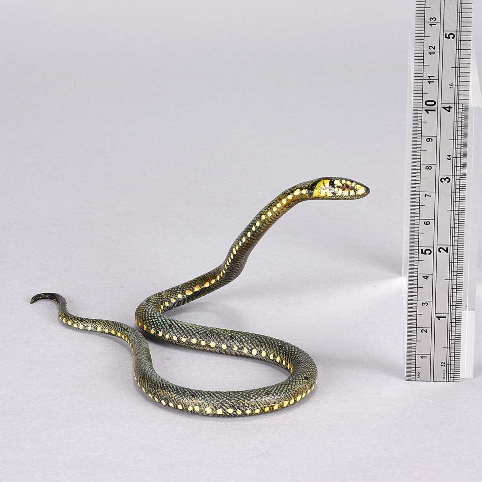 Franz Bergman Snake - Austrian Bronze - Hickmet Fine Arts