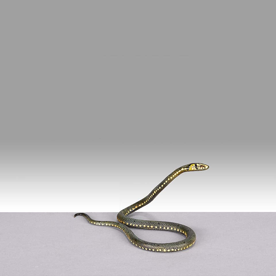 Franz Bergman Snake - Austrian Bronze - Hickmet Fine Arts