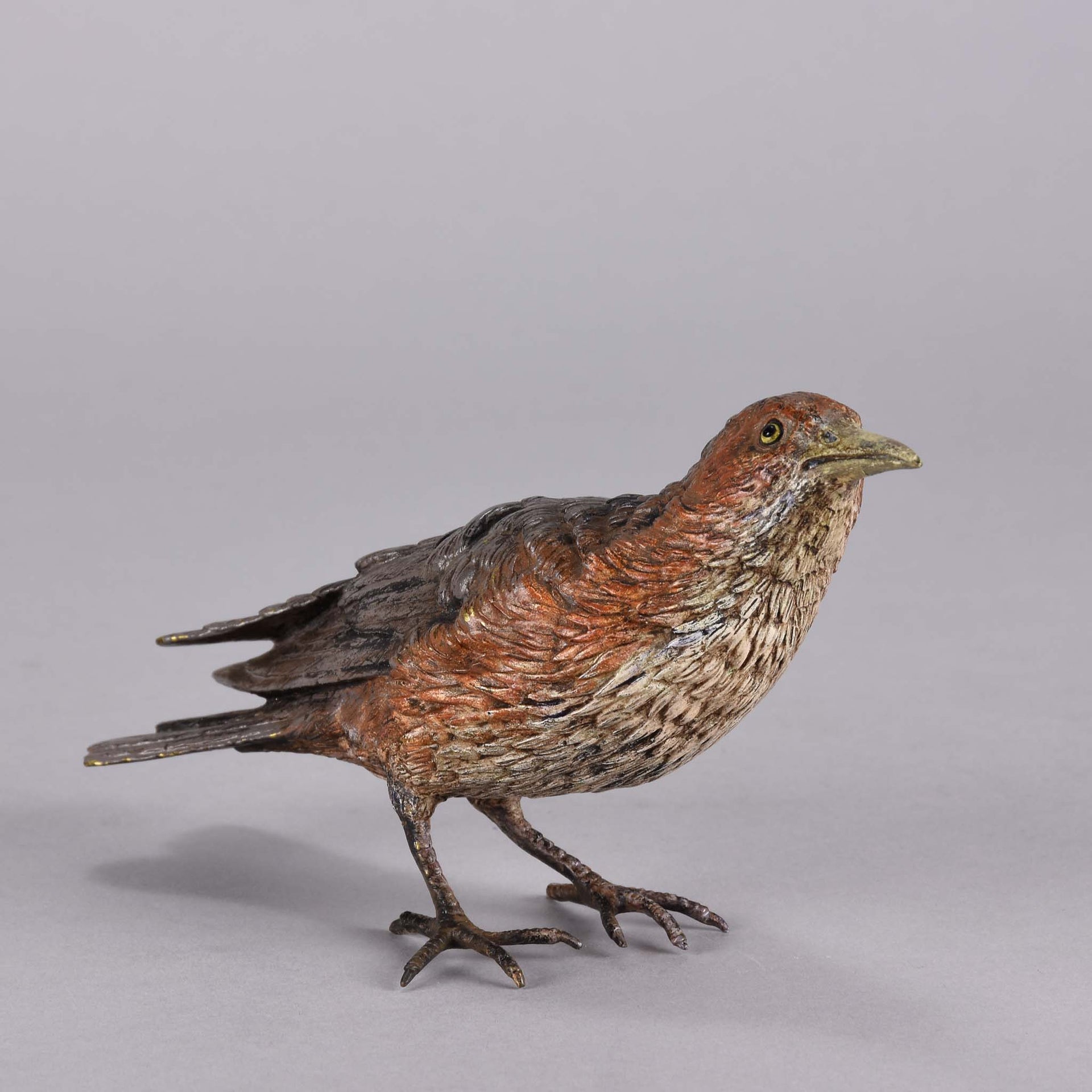 Bergman Bird - Franz Bergman Austrian Bronze - Hickmet Fine Arts