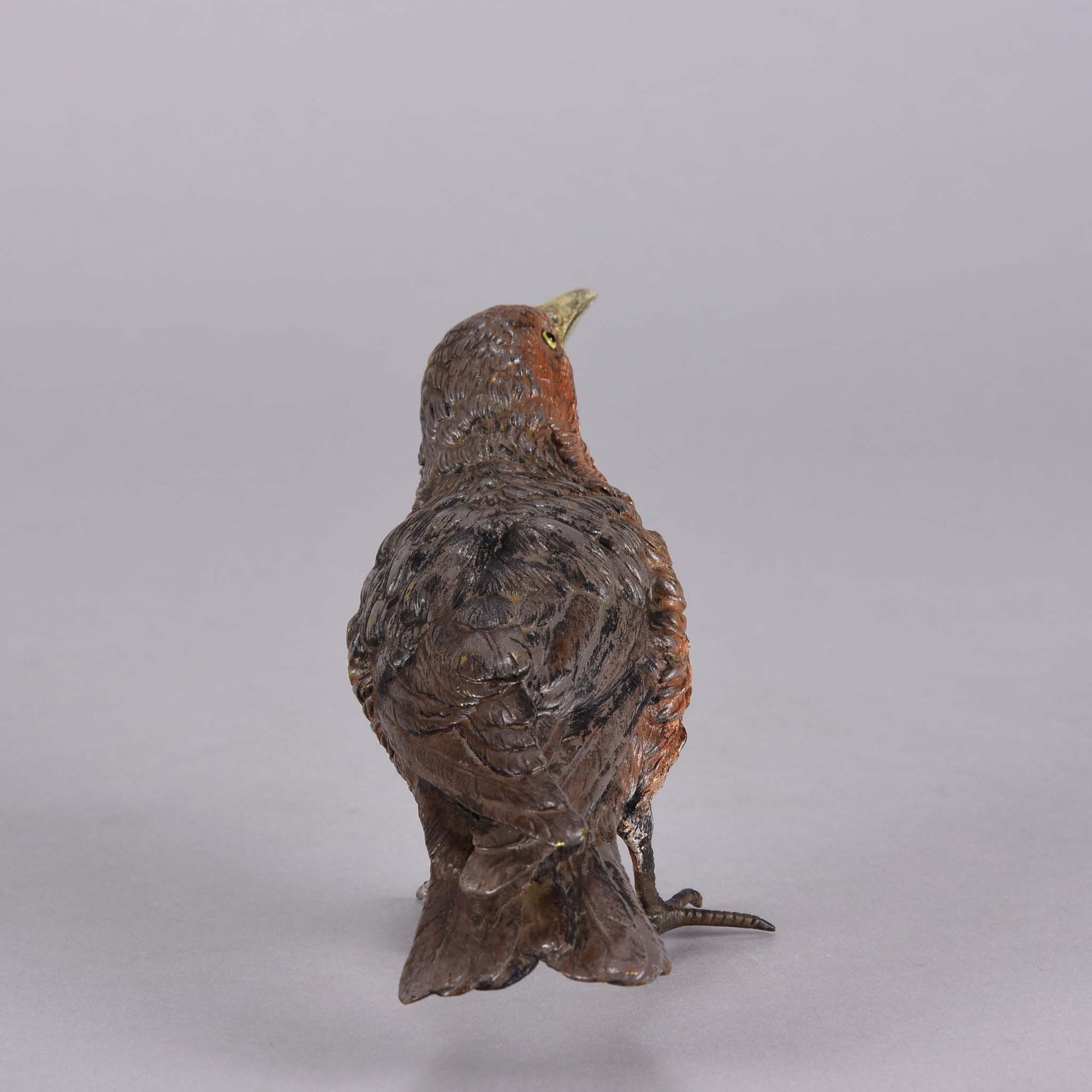 Bergman Bird - Franz Bergman Austrian Bronze - Hickmet Fine Arts