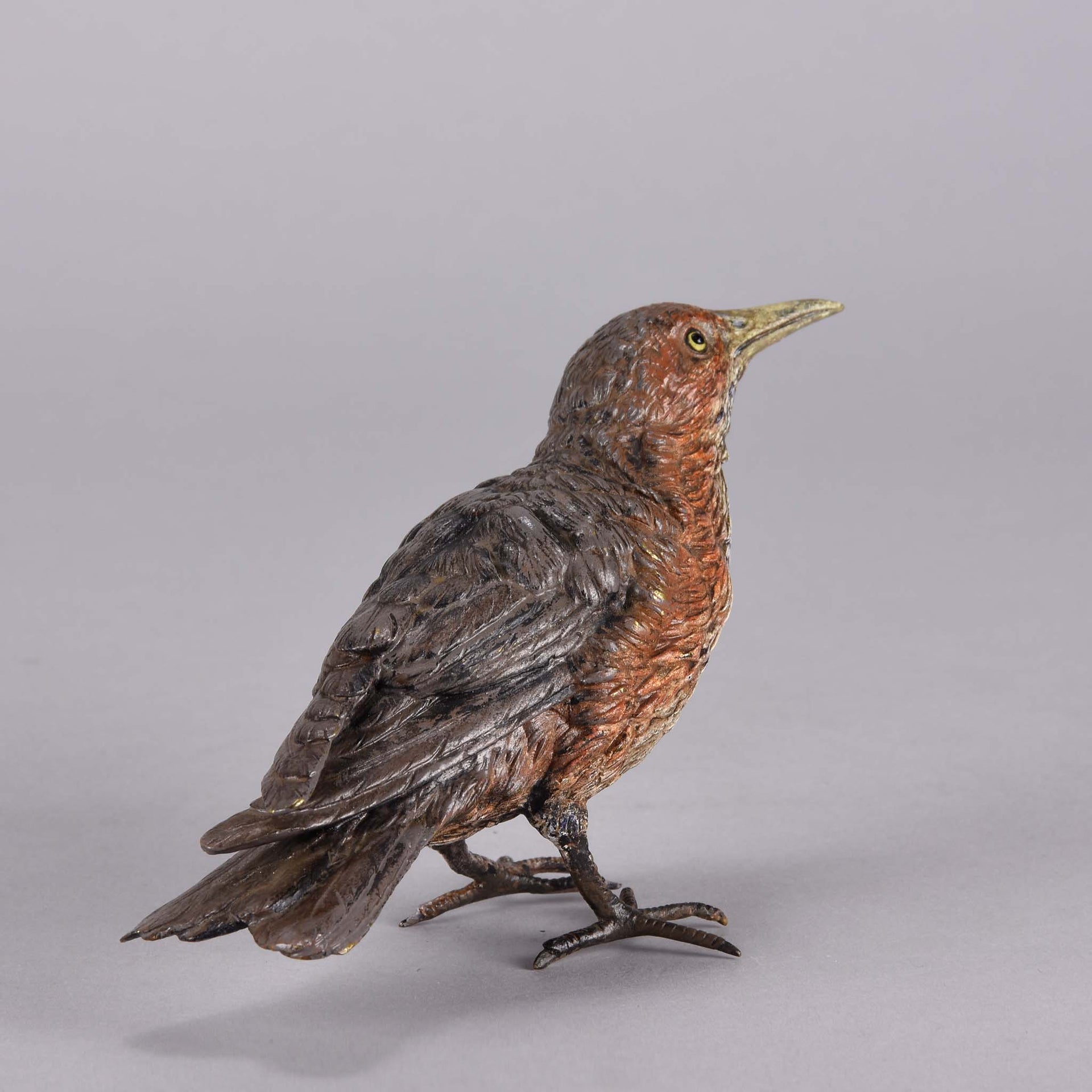 Bergman Bird - Franz Bergman Austrian Bronze - Hickmet Fine Arts