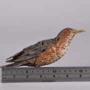 Bergman Bird - Franz Bergman Austrian Bronze - Hickmet Fine Arts