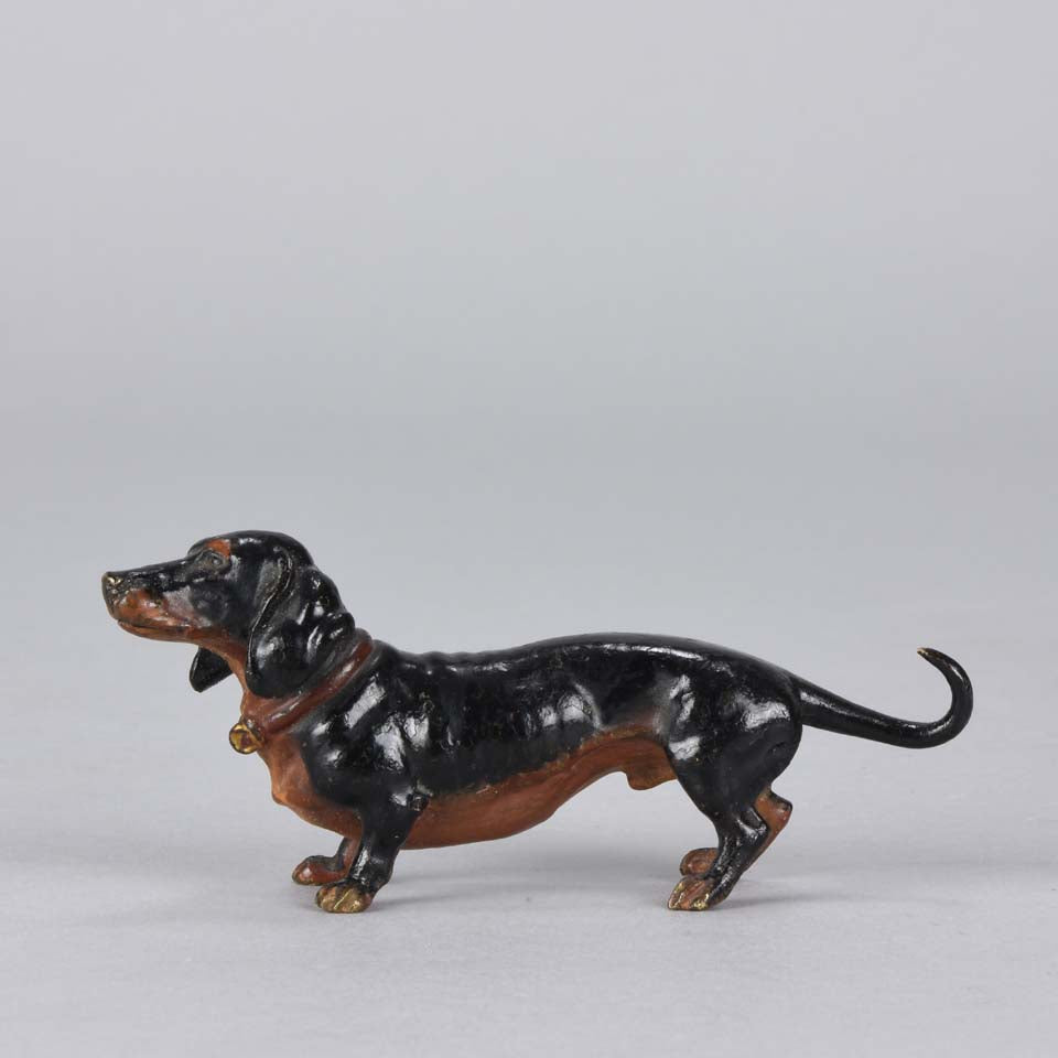 Bergman Dachshund Austrian Bronze