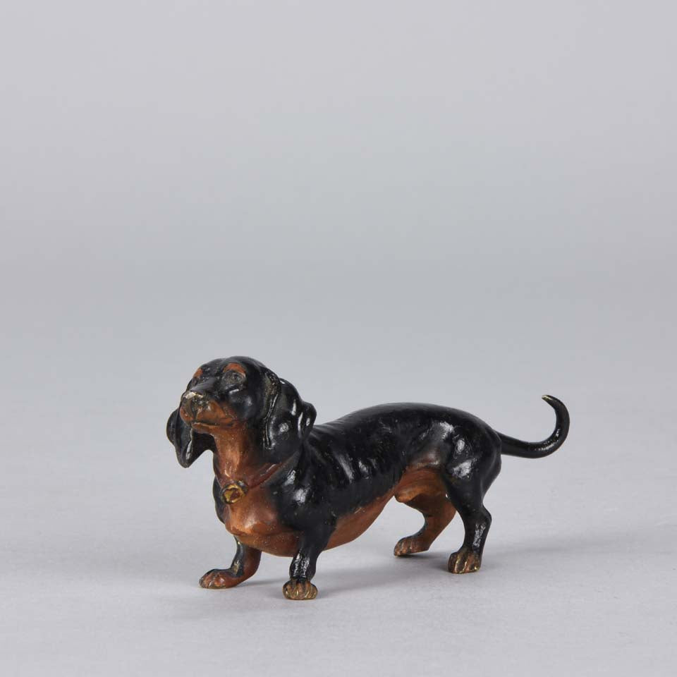 Bergman Dachshund Austrian Bronze