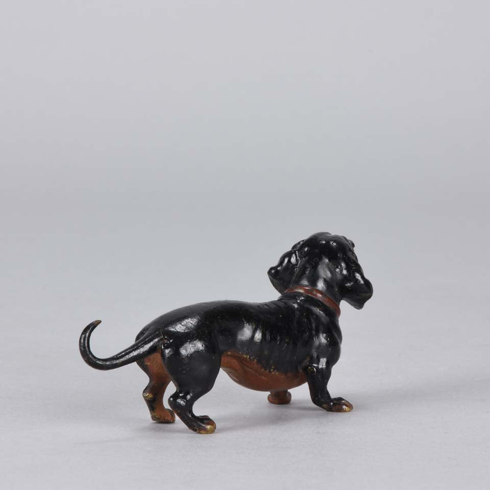 Bergman Dachshund Austrian Bronze