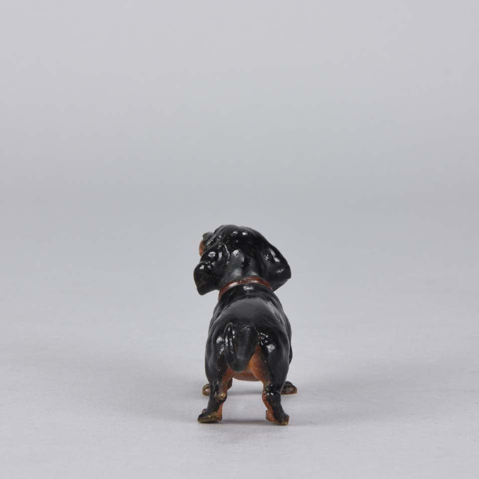 Bergman Dachshund Austrian Bronze