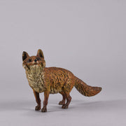 Bergman Bronze Fox