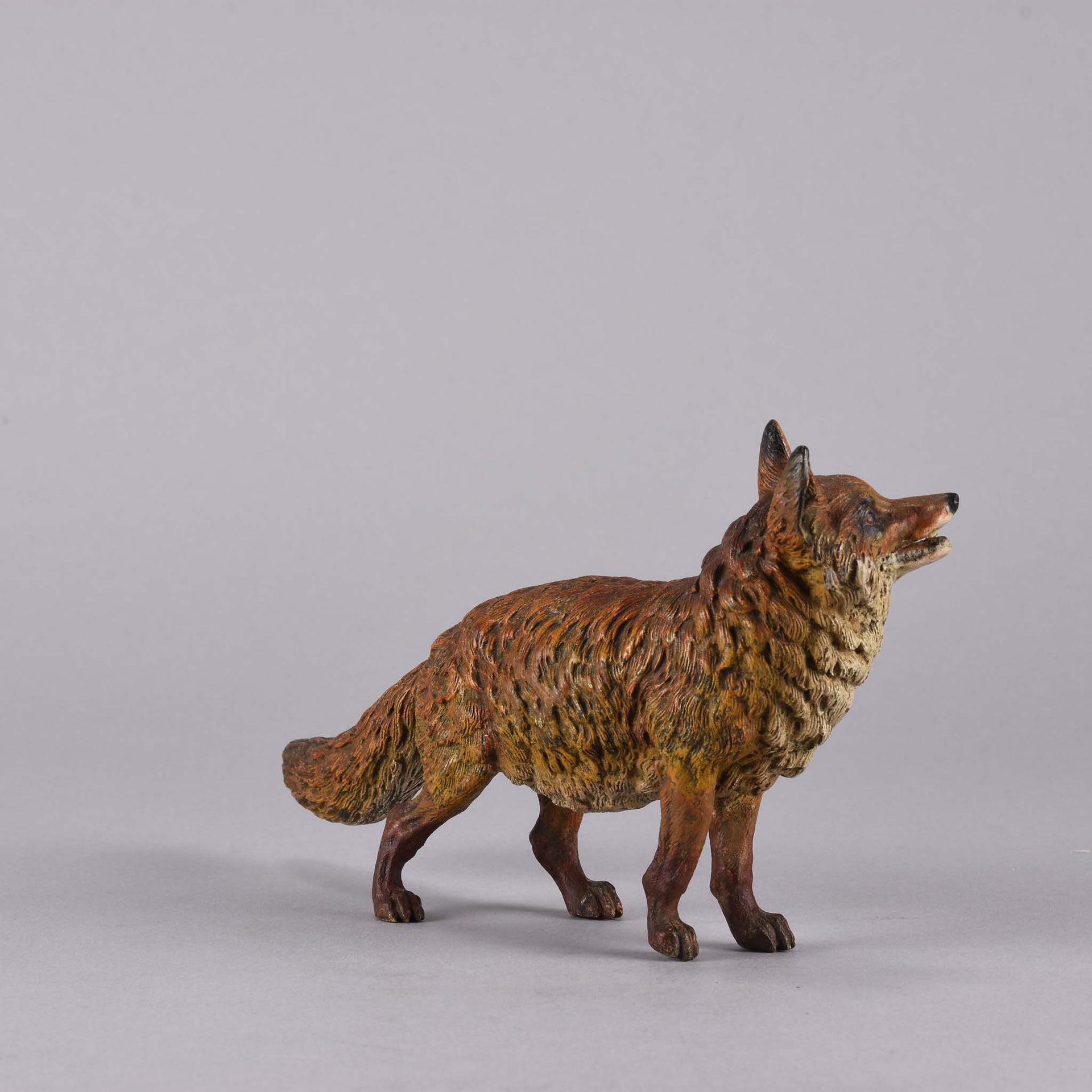 Bergman Bronze Fox