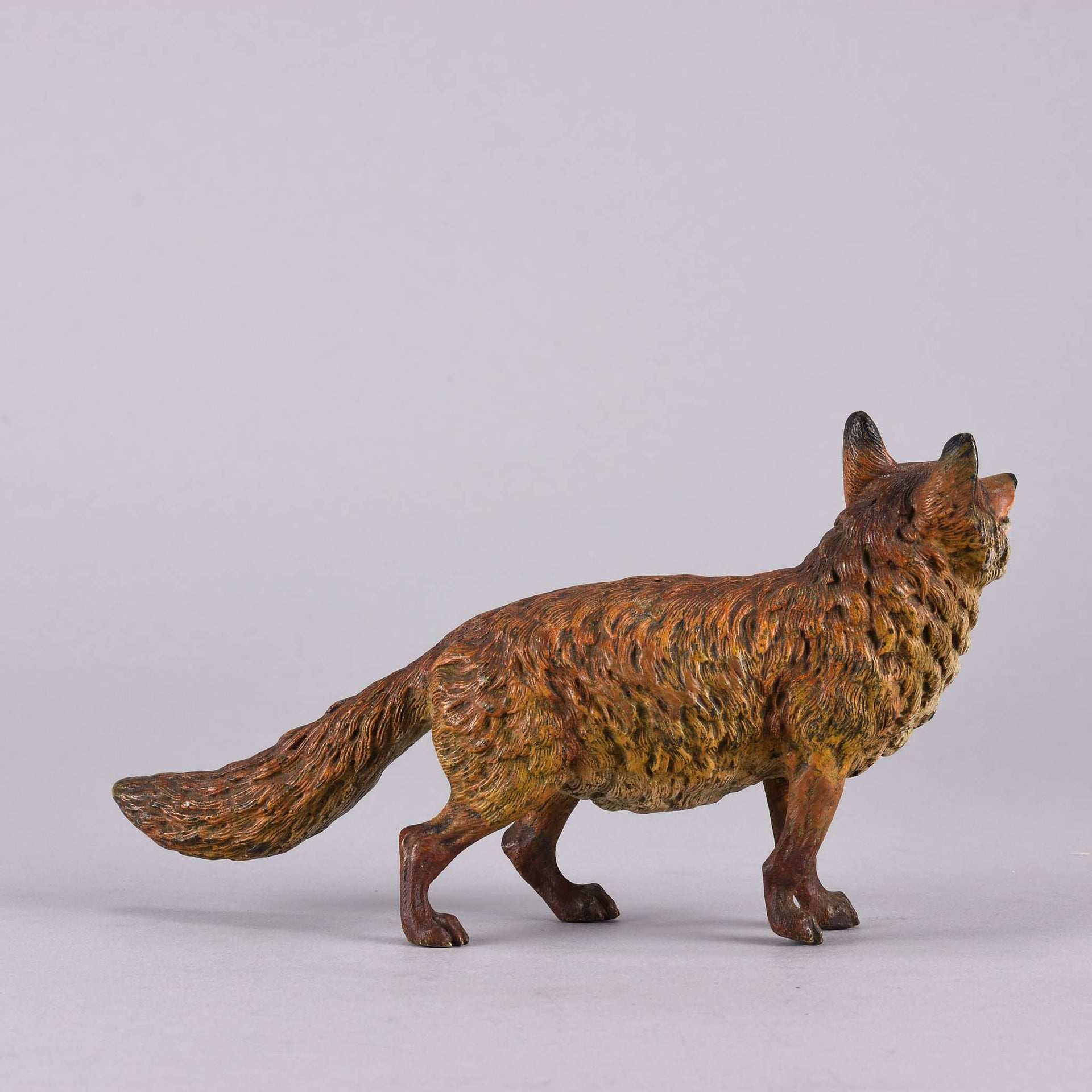 Bergman Bronze Fox