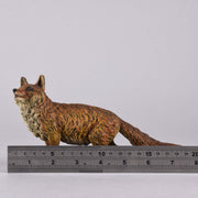 Bergman Bronze Fox