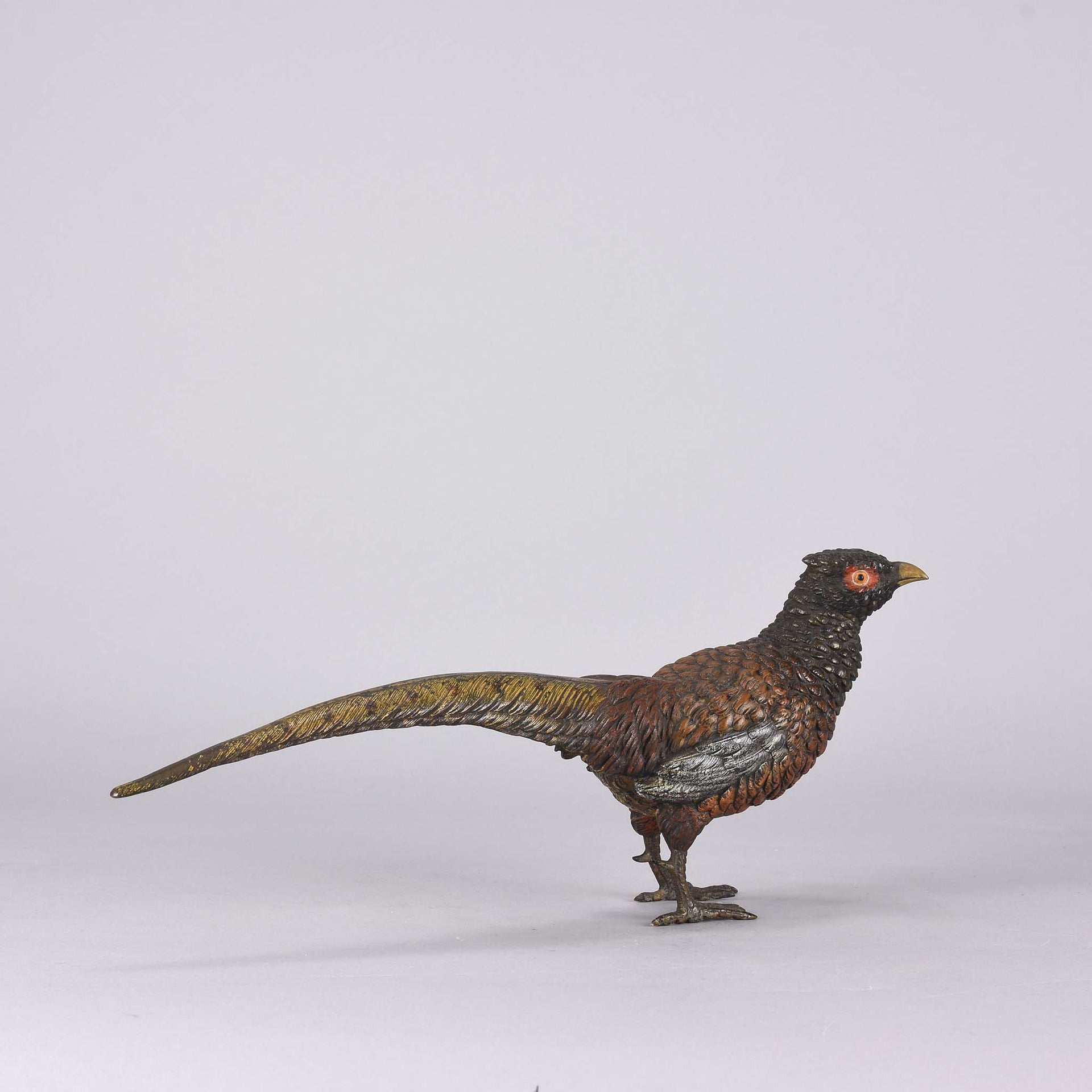 Bergman bronze pheasant