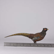 Bergman bronze pheasant