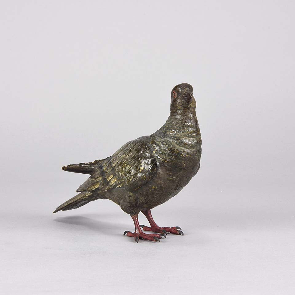 Austrian Bronze - Franz Bergman Pigeon