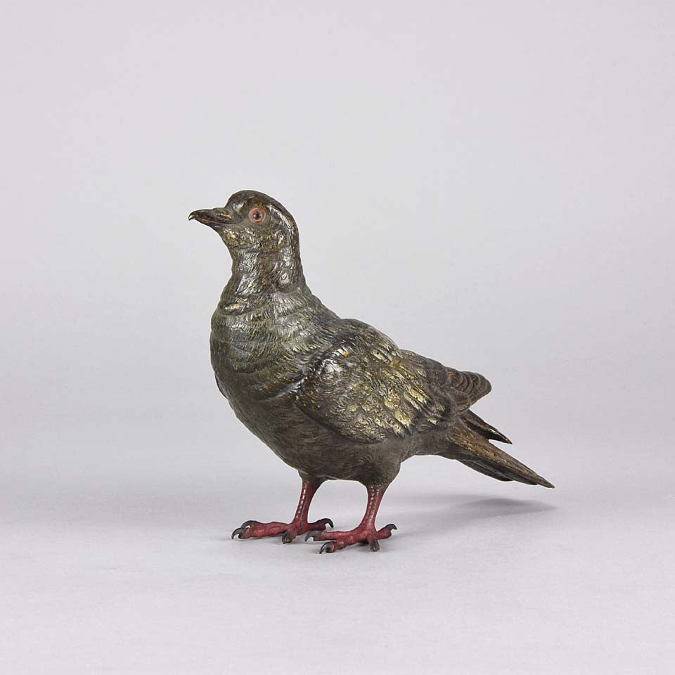 Austrian Bronze - Franz Bergman Pigeon
