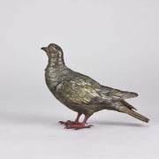 Austrian Bronze - Franz Bergman Pigeon
