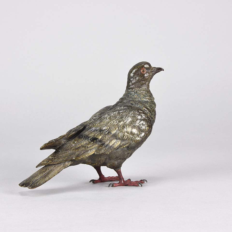 Austrian Bronze - Franz Bergman Pigeon