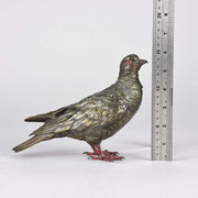 Austrian Bronze - Franz Bergman Pigeon