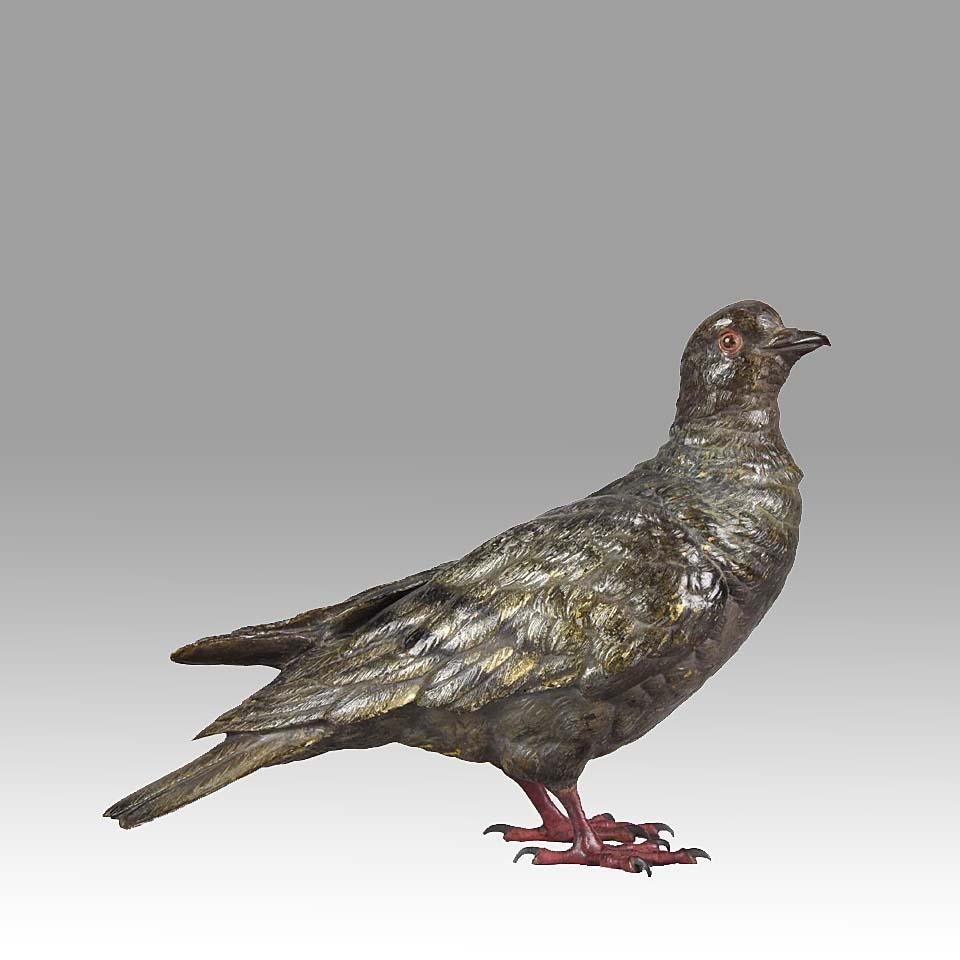 'Standing Pigeon' by Bergman