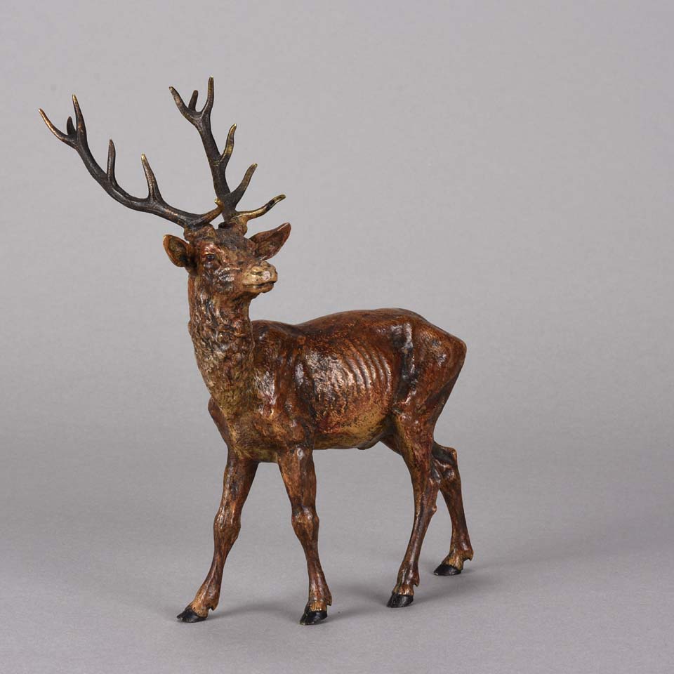 Bergman Stag- Austrian Bronze Study by Franz Bergman