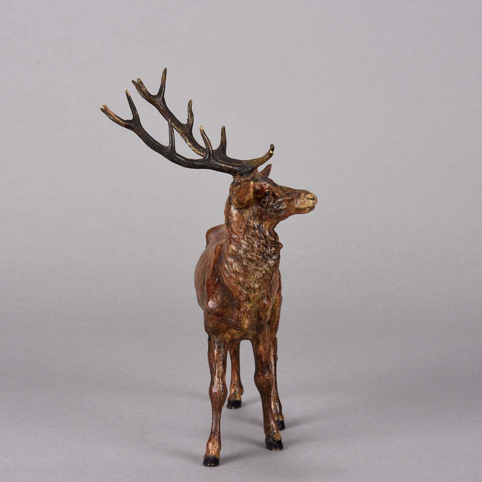 Bergman Stag- Austrian Bronze Study by Franz Bergman