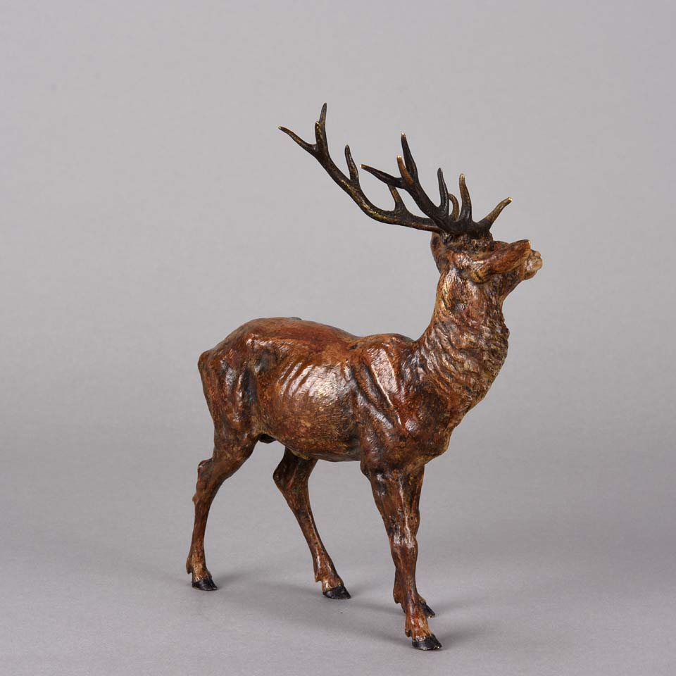 Bergman Stag- Austrian Bronze Study by Franz Bergman