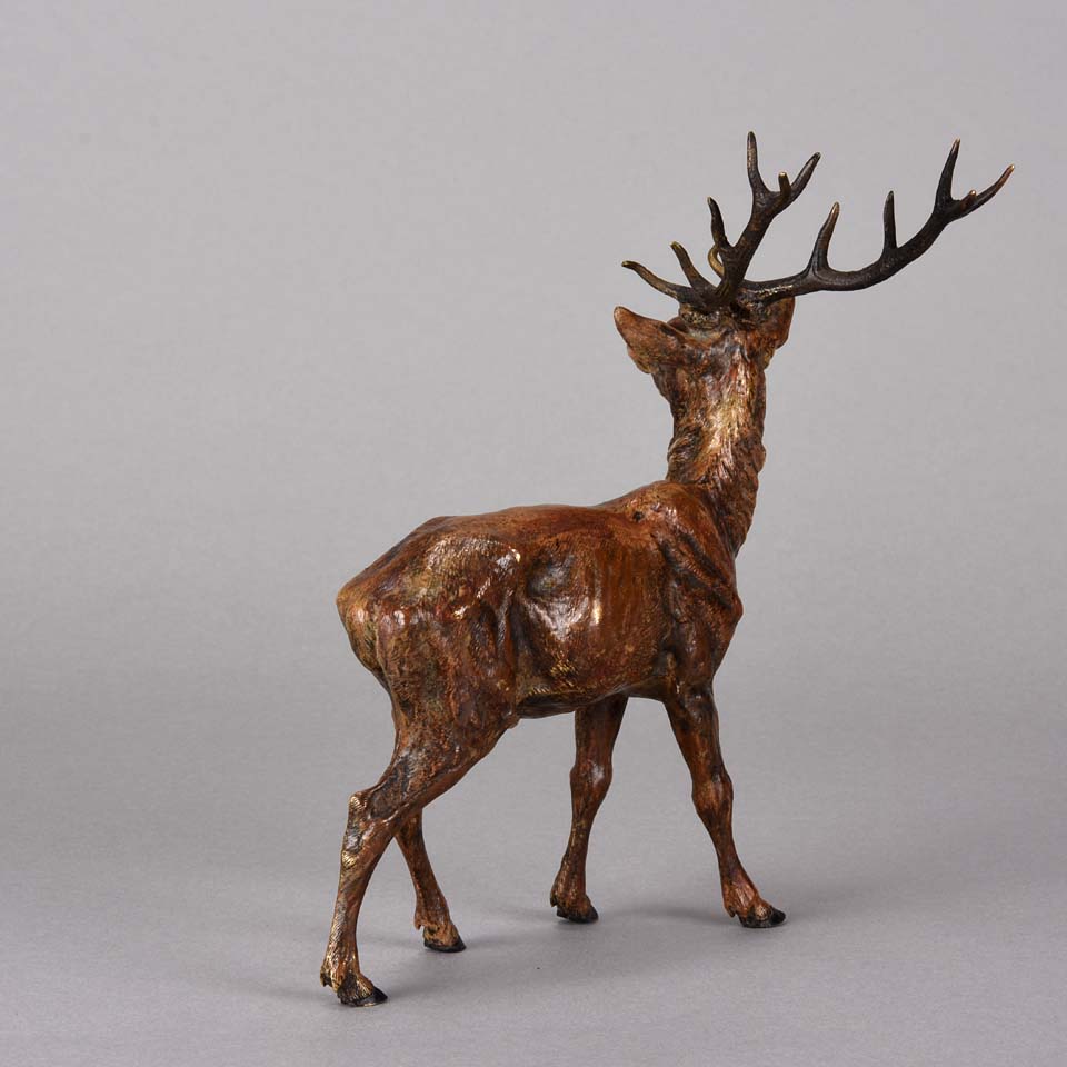 Bergman Stag- Austrian Bronze Study by Franz Bergman