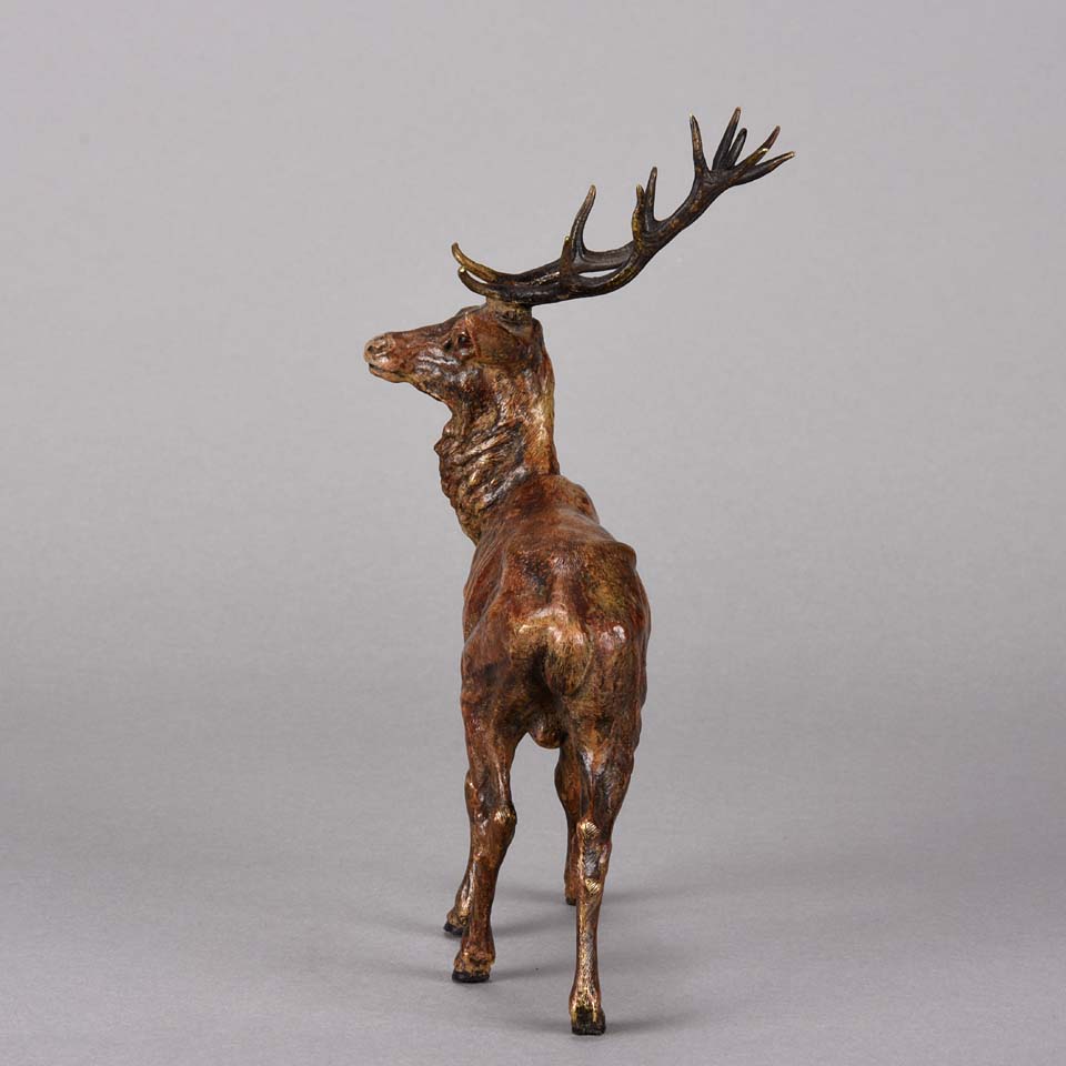 Bergman Stag- Austrian Bronze Study by Franz Bergman