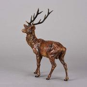 Bergman Stag- Austrian Bronze Study by Franz Bergman