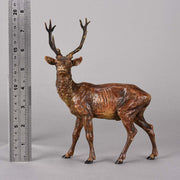 Bergman Stag- Austrian Bronze Study by Franz Bergman
