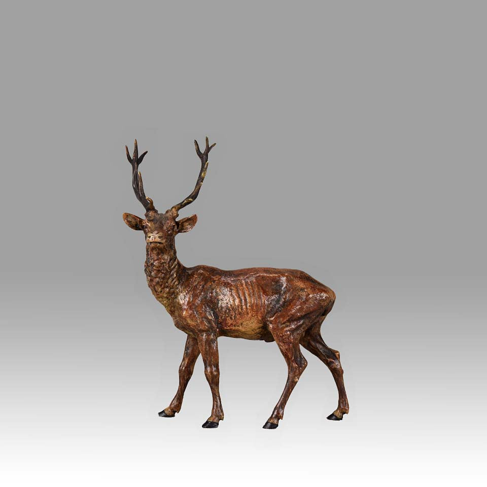 Bergman Stag- Austrian Bronze Study by Franz Bergman