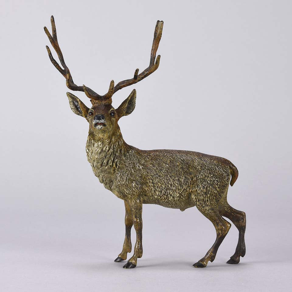 Franz Bergman Stag - Austrian Bronze - Hickmet Fine Arts