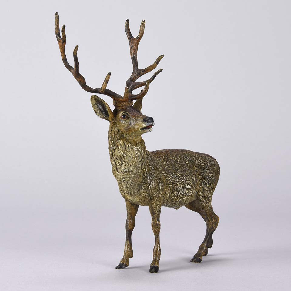 Franz Bergman Stag - Austrian Bronze - Hickmet Fine Arts