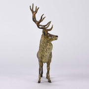 Franz Bergman Stag - Austrian Bronze - Hickmet Fine Arts